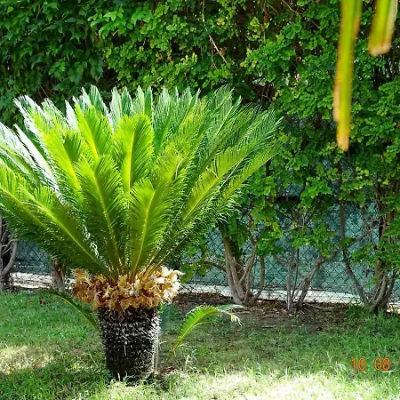 Ippocampo Villa *