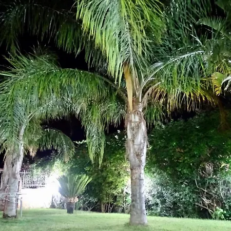 Ippocampo