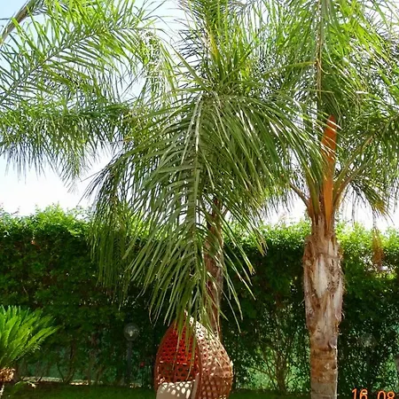 Ippocampo Villa Campofelice Di Roccella