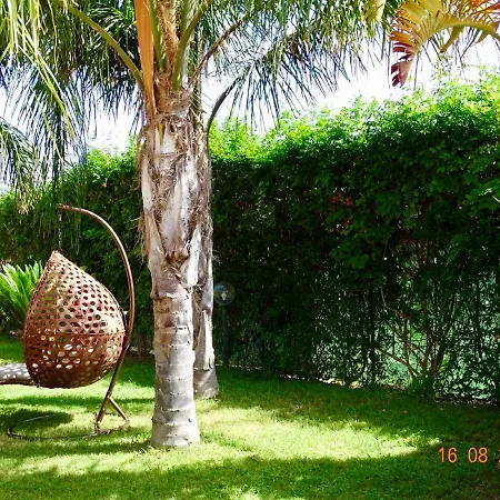 Ippocampo